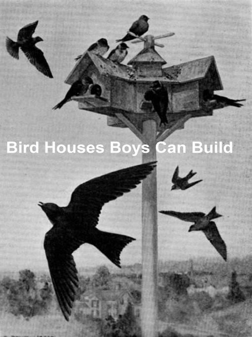 Title details for Bird Houses Boys Can Build by Albert Siepert - Available